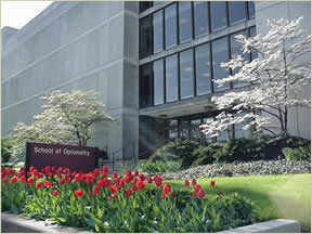 front of optometry building on a spring day tulips blooming in planters