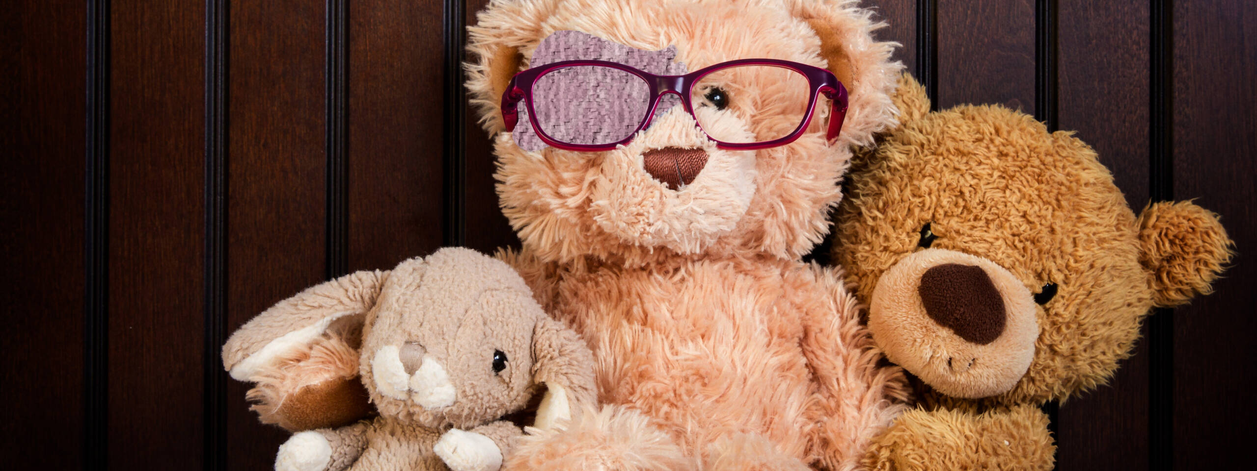 Image of stuffed rabbit and a stuffed bear wearing glasses and an eye patch